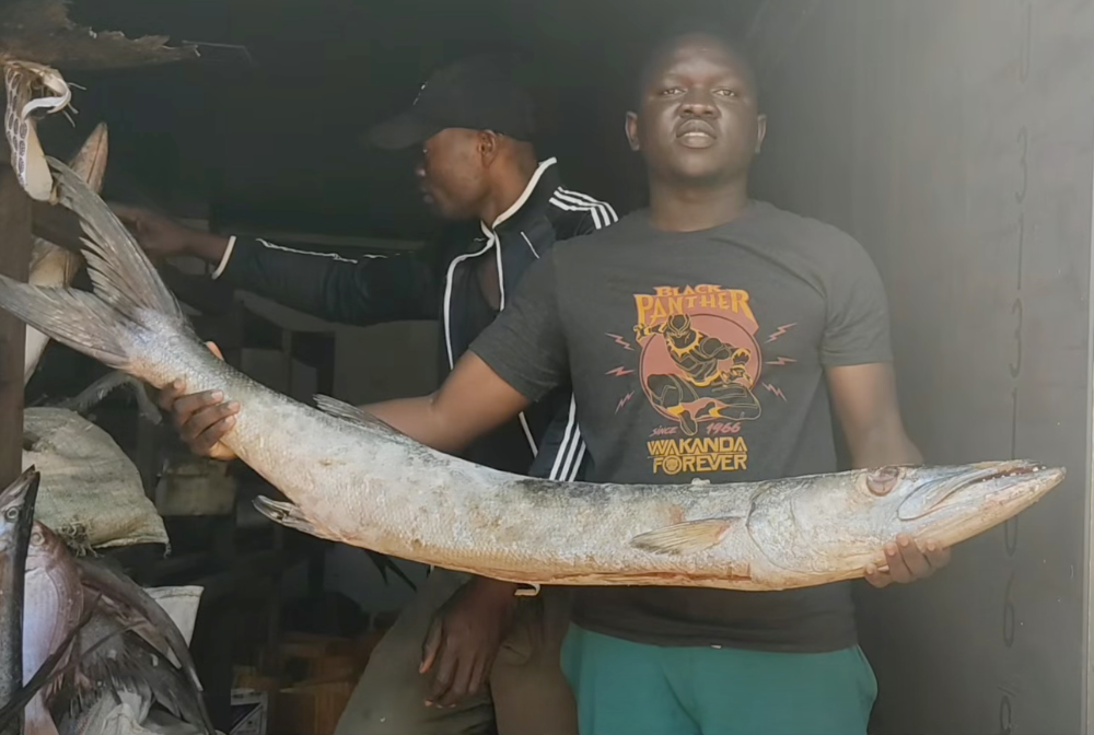 Monganza, du fleuve à l’assiette : un voyage triste pour les pêcheurs Congolais