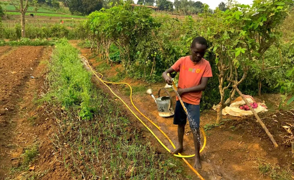 Vacances à Nkayi : La beauté de l’initiation à l’agriculture